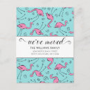 Search for flamingo moving announcement cards Florida