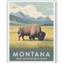 Recherche de bison américain autocollants Montana