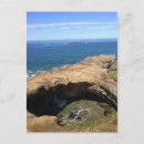 Recherche de loutres cartes postales Nature