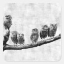 Search for screech stickers Owl