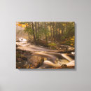 Search for trail canvas prints Forest