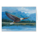 Search for america eagle postcards Wild life
