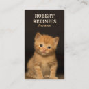 Recherche de queue cartes visite Chat