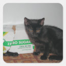 Search for cat kitten stickers Furry