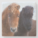 Recherche de cheval islandais dessous de verres Animal