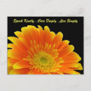 Search for quotation horizontal postcards Flowers