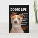 Search for funny dog quotes cards Dogs