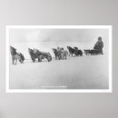Search for malamute dog posters Animals