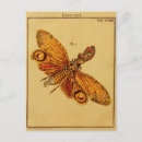 Search for flying insect postcards Entomology