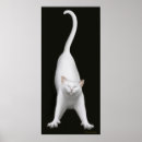 Search for cat stretching posters Kitten