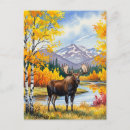 Search for denali alaska postcards Landscape
