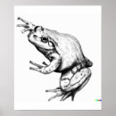 Recherche de dessins de grenouille posters Vintage