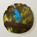 Search for blue bird pillows Pretty