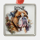 Recherche de français bulldog ornements Noël