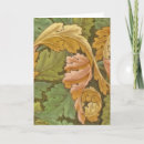 Search for distinctive postcards Nature