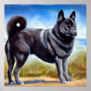 Search for norwegian elkhound Canine