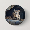 Search for snow leopard buttons Animal