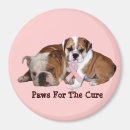 Recherche de ruban de conscience magnets Sein