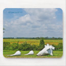 Search for shell mousepads Beach