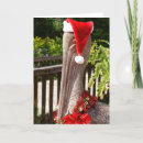 Search for pelican christmas cards Florida