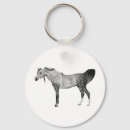 Search for arabian horse accessories Horses