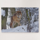 Recherche de loup puzzles Animaux