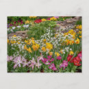 Search for spring landscape cards Garden