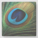 Recherche de peacock dessous de verres Oiseau