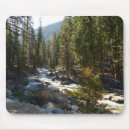 Search for sequoia mousepads Sequoia national park