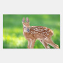 Recherche de faon autocollants Sauvage