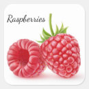 Recherche de framboise rouge autocollants Baies