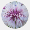 Recherche de beauté nature autocollants Floral