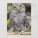 Search for baby postcards Vertical