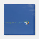 Search for macaws magnets Bird