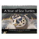 Search for turtle calendars Sea