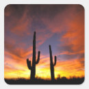 Search for arizona desert stickers Sunset