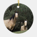 Recherche de mustang ornements Sauvage