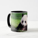 Search for national zoo mugs Photography