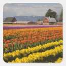 Search for skagit valley stickers Grow