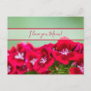 Search for s greetings postcards Mother