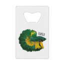 Search for fighting barware Betta