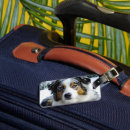 Recherche de bergers australiens accessoires Dog