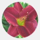 Search for ruby red stickers Flower