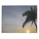 Recherche de palmiers blocsnotes Nature