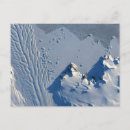 Search for wilson postcards Winter