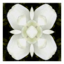 Search for celtic cross art White