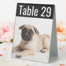 Recherche de animal table cards Unique