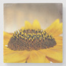 Search for sunflower coasters Autumn