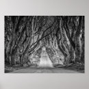 Recherche de haie posters Haies foncées