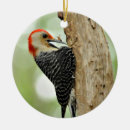 Search for woodpecker ornaments Birds and blooms